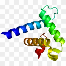 Protein Ep300 Pdb 1f81 - Creb Binding Protein, HD Png Download - kat mcnamara png
