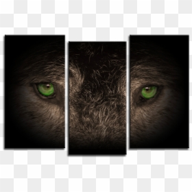 Wolf On 3 Panel Canvas, HD Png Download - wolf print png