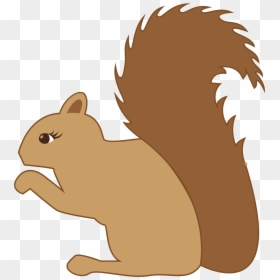 Squirrel Silhouette Chipmunk Clip Art - Silhouette Art Of Squirrel, HD Png Download - woodland png