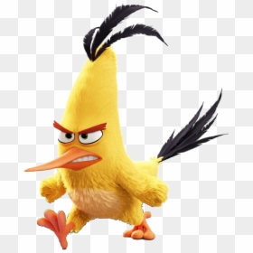 Chuck Angry Birds 2, HD Png Download - angry birds movie png
