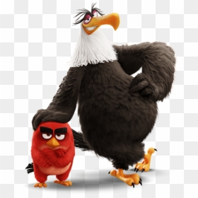 Mighty Eagle The Angry Birds Movie, HD Png Download - angry birds movie png