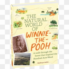 Cover - Flyer, HD Png Download - classic winnie the pooh png