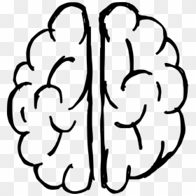 Transparent Brain Transparent Png - Drawing For Animal Easy Cartoon, Png Download - cute line png