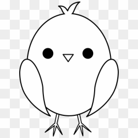 Transparent Baby Chick Png - Cute Baby Chickens To Draw, Png Download - cute line png