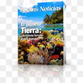 Lasbn Mayo Junio - Flyer, HD Png Download - planeta tierra png