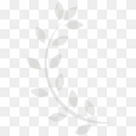 Circle, HD Png Download - laureles png