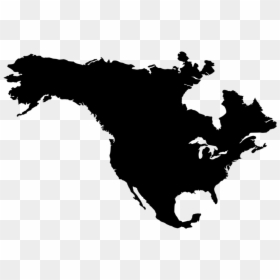 North America Novovino Wine Company - North America Png, Transparent Png - wine .png
