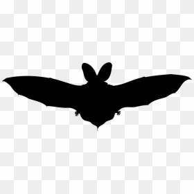 Brown Long Eared Bat Big Image Png - Clip Art, Transparent Png - brown png
