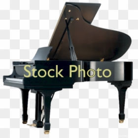 Steinway & Sons D-274, Saint Paul, United States - Grand Piano Platinum, HD Png Download - ebony model png