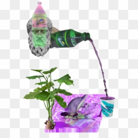#trippy #lean #dolphin #trill #codeinegawd - Floral Design, HD Png Download - lean.png