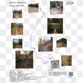 Carlton Peak Trail , Png Download - Collage, Transparent Png - carlton png