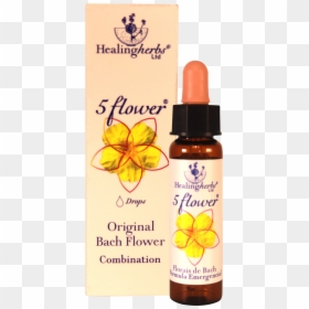 Transparent Florais Png - 5 Flower Original Bach Flower, Png Download - healing png