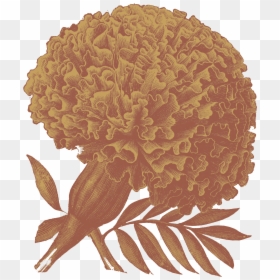 Flower Drawings, HD Png Download - reggie png