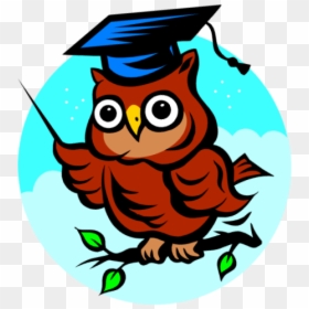 Clipart Owl Scholar, HD Png Download - raton png