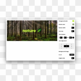 Banner - Nature Original Landscape Painting, HD Png Download - simple banner png