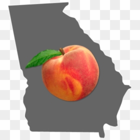 Peach, HD Png Download - state of georgia png