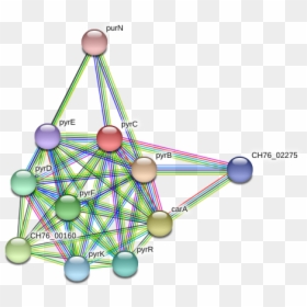 Pyrc Protein - Circle, HD Png Download - bf4 png