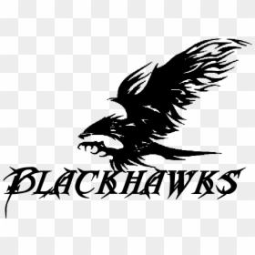Hawk Logo Black And White - Illustration, HD Png Download - tony hawk png