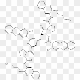 Diagram, HD Png Download - ribosomes png