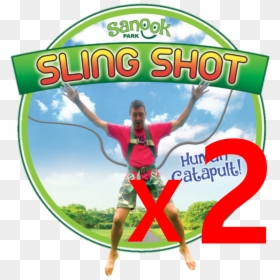 Circus, HD Png Download - angry birds slingshot png