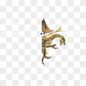 Clipart Harry Potter Dragon, HD Png Download - angry birds slingshot png