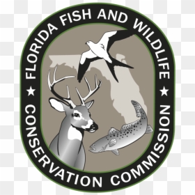 Florida Fish And Wildlife Conservation Commission, HD Png Download - snoo png