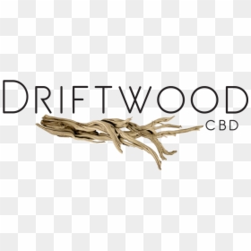 Driftwood, HD Png Download - drift wood png