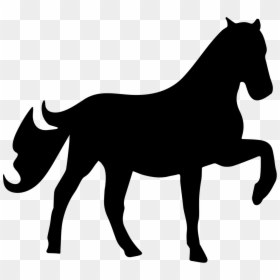 Horse Raising One Foot Silhouette - Horse Stencil, HD Png Download - stallion png