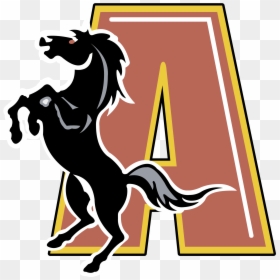Augusta Stallions Logo Png Transparent - Team Name With Stallions, Png Download - stallion png