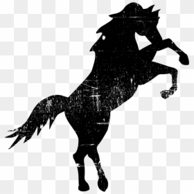 Stallion Png, Transparent Png - stallion png