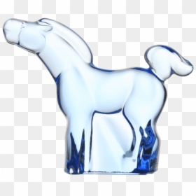 Horse - Colt, HD Png Download - stallion png