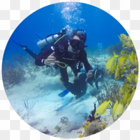 Underwater, HD Png Download - scuba png