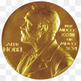 Nobel Prize, HD Png Download - caroline forbes png