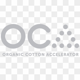 Organic Cotton Accelerator Foundation Transparent, HD Png Download - caroline forbes png