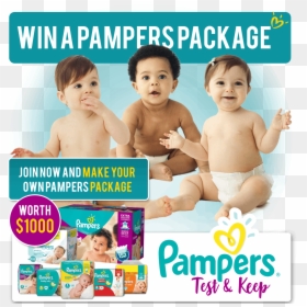 Pampers, HD Png Download - pampers png