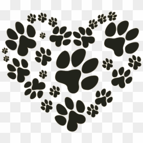 Cats And Dogs Paws, HD Png Download - dog paw png