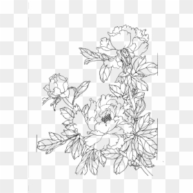 Drawings Of Chinese Flowers, HD Png Download - omegalul png