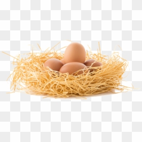 Eggs In Nest Png, Transparent Png - eggs png