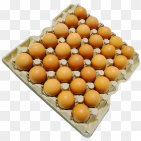 Soy Egg, HD Png Download - eggs png