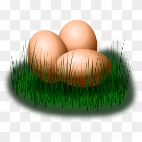 Egg On Grass Clipart, HD Png Download - eggs png