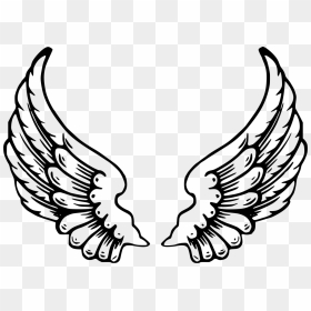 Wing Coloring Pages, HD Png Download - wing png