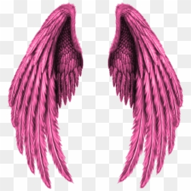 Realistic Angel Wings Drawing, HD Png Download - wing png