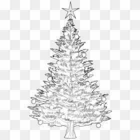 Christmas Tree Line Drawing, HD Png Download - tree vector png