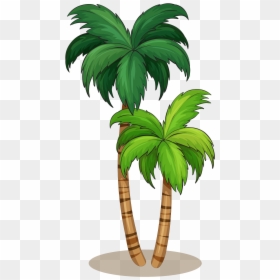 Coconut Tree Illustration, HD Png Download - tree vector png