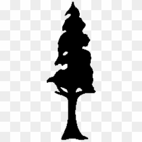 Redwood Tree Clip Art, HD Png Download - tree vector png