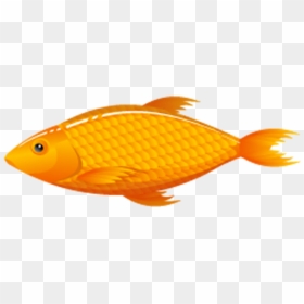 Thumb Image - Peixe Png, Transparent Png - peixe png