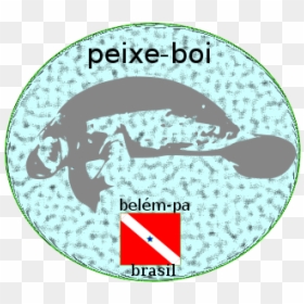 Manatee Amazon - Manatee, HD Png Download - peixe png