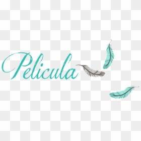 Calligraphy, HD Png Download - rollo de pelicula png
