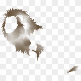 Lion, HD Png Download - daehyun png