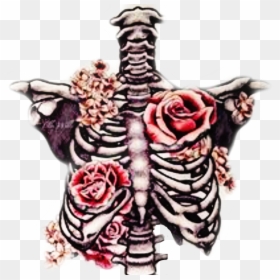 #freetoedit #ribcage #bones #roses #beautifuldeath - Skeleton And Roses Drawing, HD Png Download - ribcage png